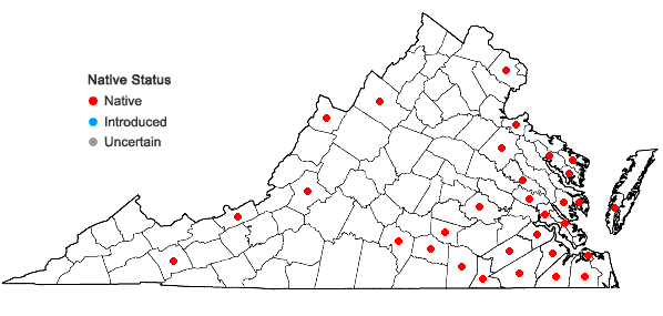 Locations ofLophocolea minor Nees in Virginia