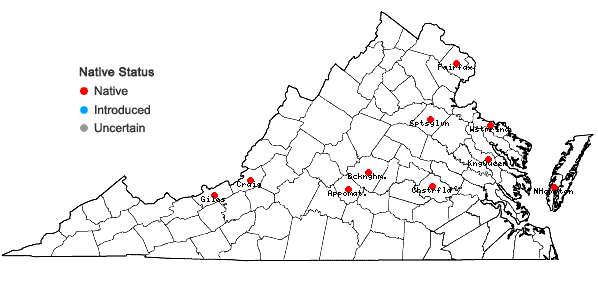 Locations ofLophozia bicrenata (Schmidel) Dumort. in Virginia