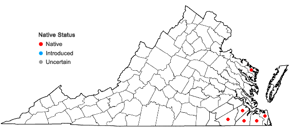 Locations ofLudwigia brevipes (B.H. Long ex Britt., A. Braun & Small) Eames in Virginia