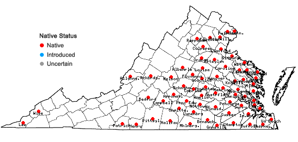 Locations ofLudwigia decurrens Walter in Virginia