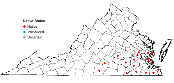 Locations ofLudwigia glandulosa Walter in Virginia