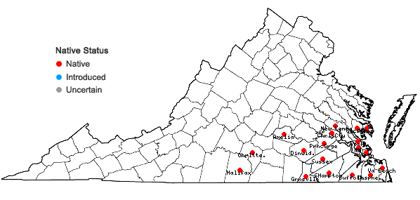 Locations ofLudwigia glandulosa Walter in Virginia