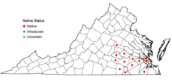 Locations ofLudwigia hirtella Raf. in Virginia