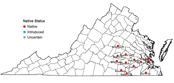 Locations ofLudwigia hirtella Raf. in Virginia