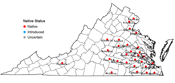 Locations ofLudwigia leptocarpa (Nuttall) Hara in Virginia