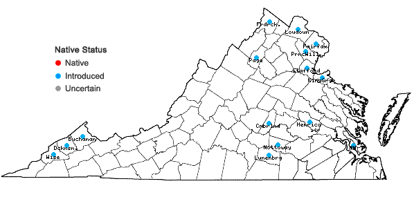 Locations ofLudwigia peploides (H.B.K.) Raven var. glabrescens (Kuntze)Shinners in Virginia