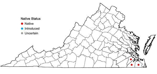 Locations ofLudwigia pilosa Walter in Virginia