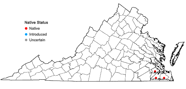 Locations ofLudwigia pilosa Walter in Virginia