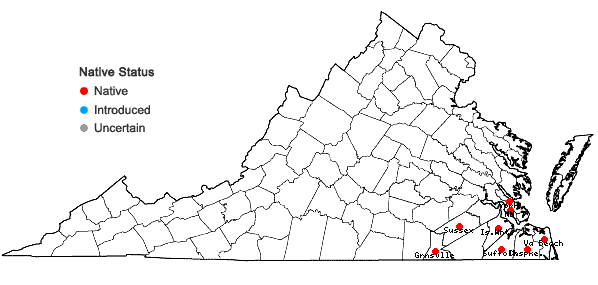 Locations ofLudwigia sphaerocarpa Elliott in Virginia