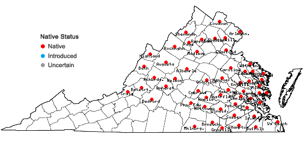 Locations ofLupinus perennis L. in Virginia