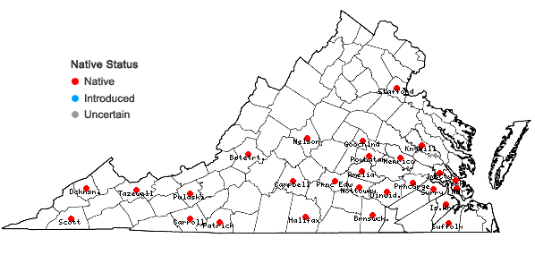 Locations ofLuzula acuminata Raf. var. carolinae (S. Wats.) Fern. in Virginia