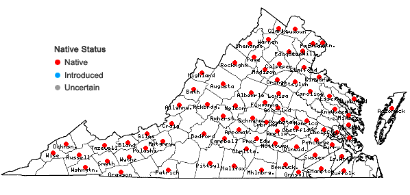 Locations ofLuzula multiflora (Ehrhart) Lejeune var. multiflora in Virginia