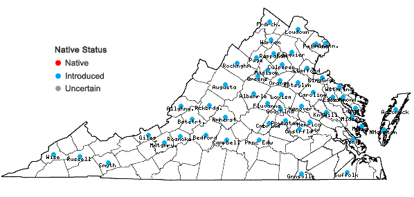 Locations ofLycium barbarum L. in Virginia