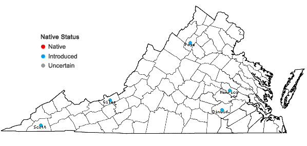 Locations ofLycium chinense P. Miller in Virginia
