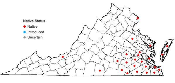 Locations ofLycopodiella alopecuroides (L.) Cranfill in Virginia