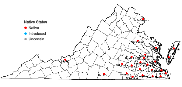 Locations ofLycopodiella alopecuroides (L.) Cranfill in Virginia