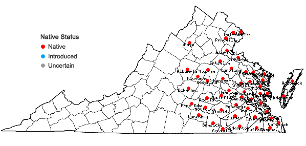 Locations ofLycopodiella appressa (Chapman) Cranfill in Virginia