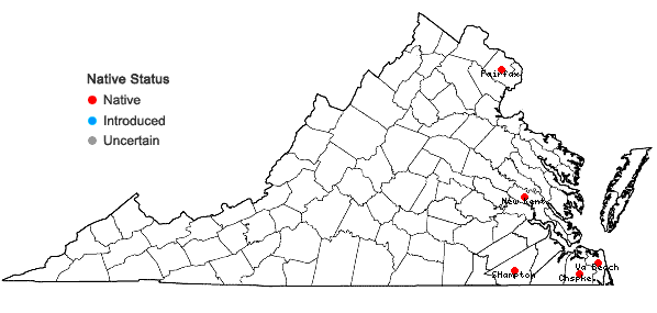 Locations ofLycopus angustifolius Elliott in Virginia