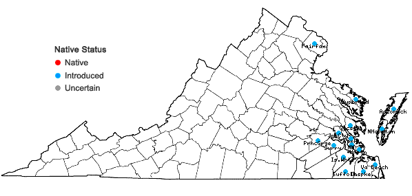Locations ofLycopus europaeus L. in Virginia