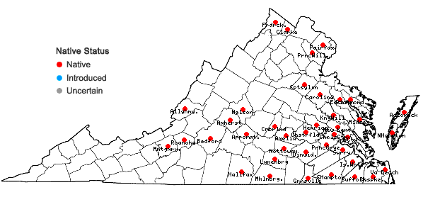 Locations ofLycopus rubellus Moench in Virginia