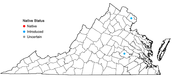 Locations ofLygodium japonicum (Thunb.) Swartz in Virginia