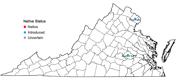 Locations ofLygodium japonicum (Thunb.) Swartz in Virginia