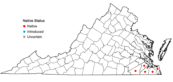 Locations ofLyonia lucida (Lam.) K. Koch in Virginia