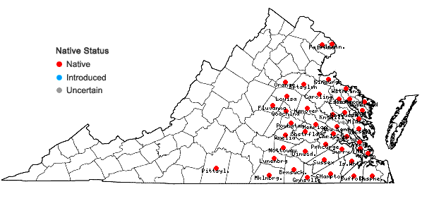Locations ofLyonia mariana (L.) D. Don in Virginia