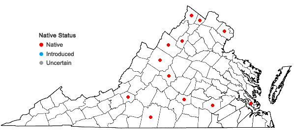 Locations ofLysimachia hybrida Michx. in Virginia