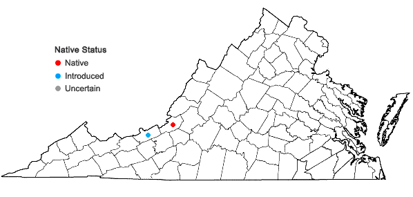 Locations ofLysimachia japonica Thunberg in Virginia