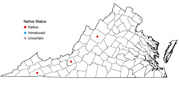 Locations ofLysimachia quadriflora Sims in Virginia