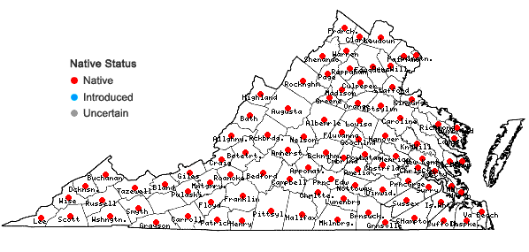 Locations ofLysimachia quadrifolia  L. in Virginia