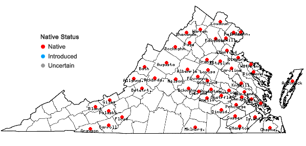 Locations ofLysimachia terrestris (L.) B.S.P. in Virginia