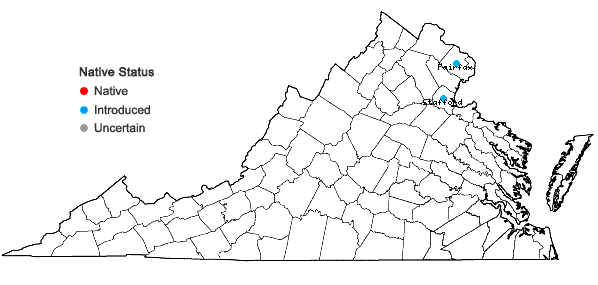 Locations ofLysimachia vulgaris L in Virginia