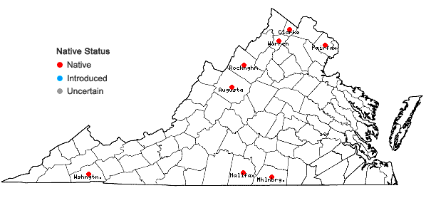 Locations ofLythrum alatum Pursh in Virginia