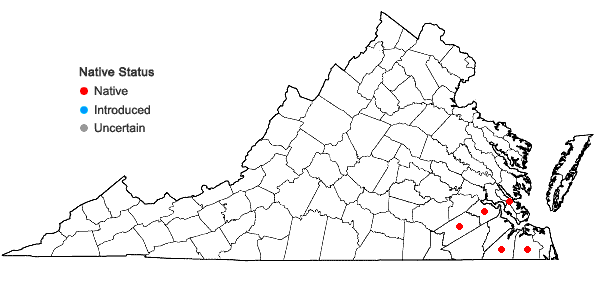 Locations ofLythrum lanceolatum Elliott in Virginia