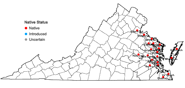 Locations ofLythrum lineare L. in Virginia