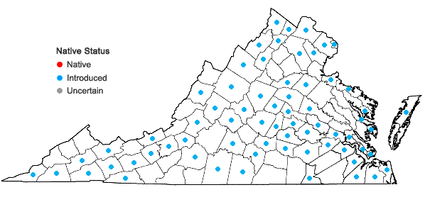 Locations ofMaclura pomifera (Raf.) Schneid. in Virginia