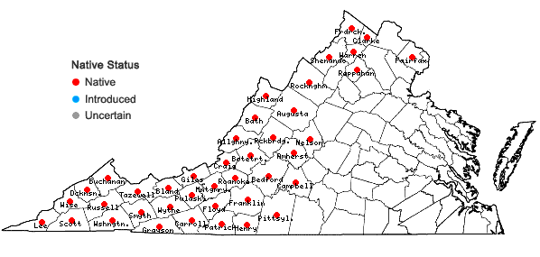 Locations ofMagnolia acuminata (L.) L. in Virginia