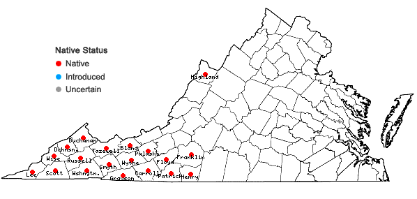 Locations ofMagnolia fraseri Walt. in Virginia