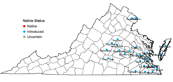 Locations ofMagnolia grandiflora L. in Virginia