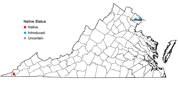 Locations ofMagnolia macrophylla Michx. in Virginia