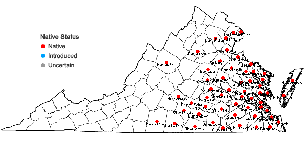 Locations ofMagnolia virginiana L. in Virginia