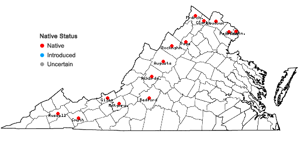 Locations ofMaianthemum stellatum (L.) Link in Virginia
