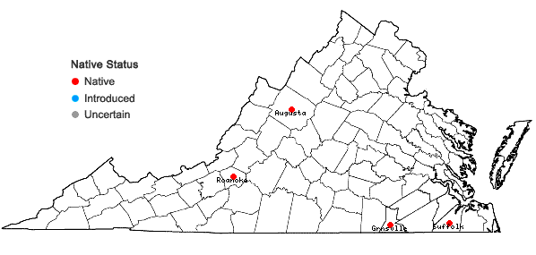 Locations ofMalaxis bayardii Fern. in Virginia