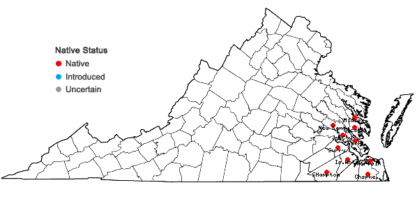 Locations ofMalaxis spicata Swartz in Virginia