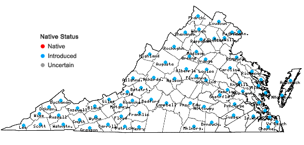 Locations ofMalus domestica (Suckow) Borkh. in Virginia