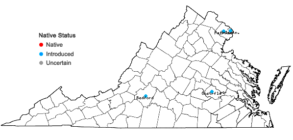 Locations ofMalus floribunda Sieb. ex Van Houtte in Virginia