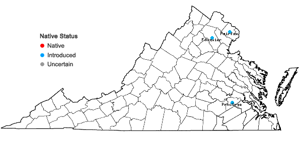 Locations ofMalus prunifolia (Willd.) Borkh. in Virginia
