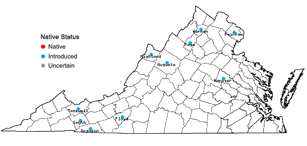 Locations ofMalva moschata L. in Virginia